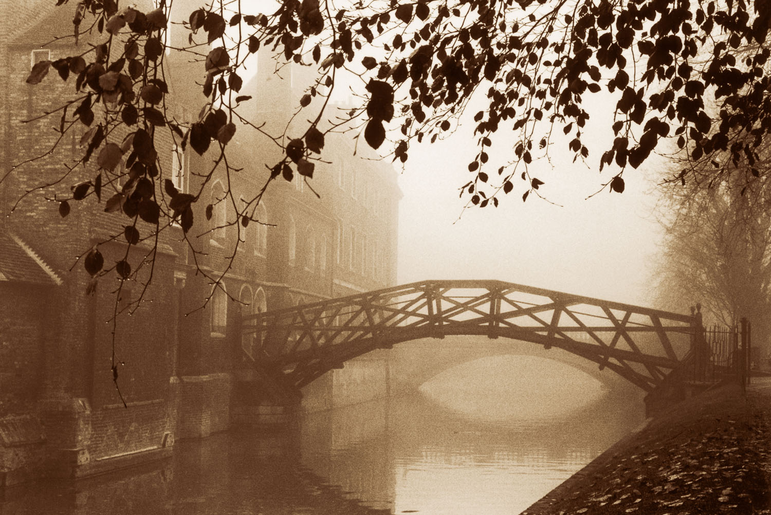 Firuzi, Sýkora, Pašková