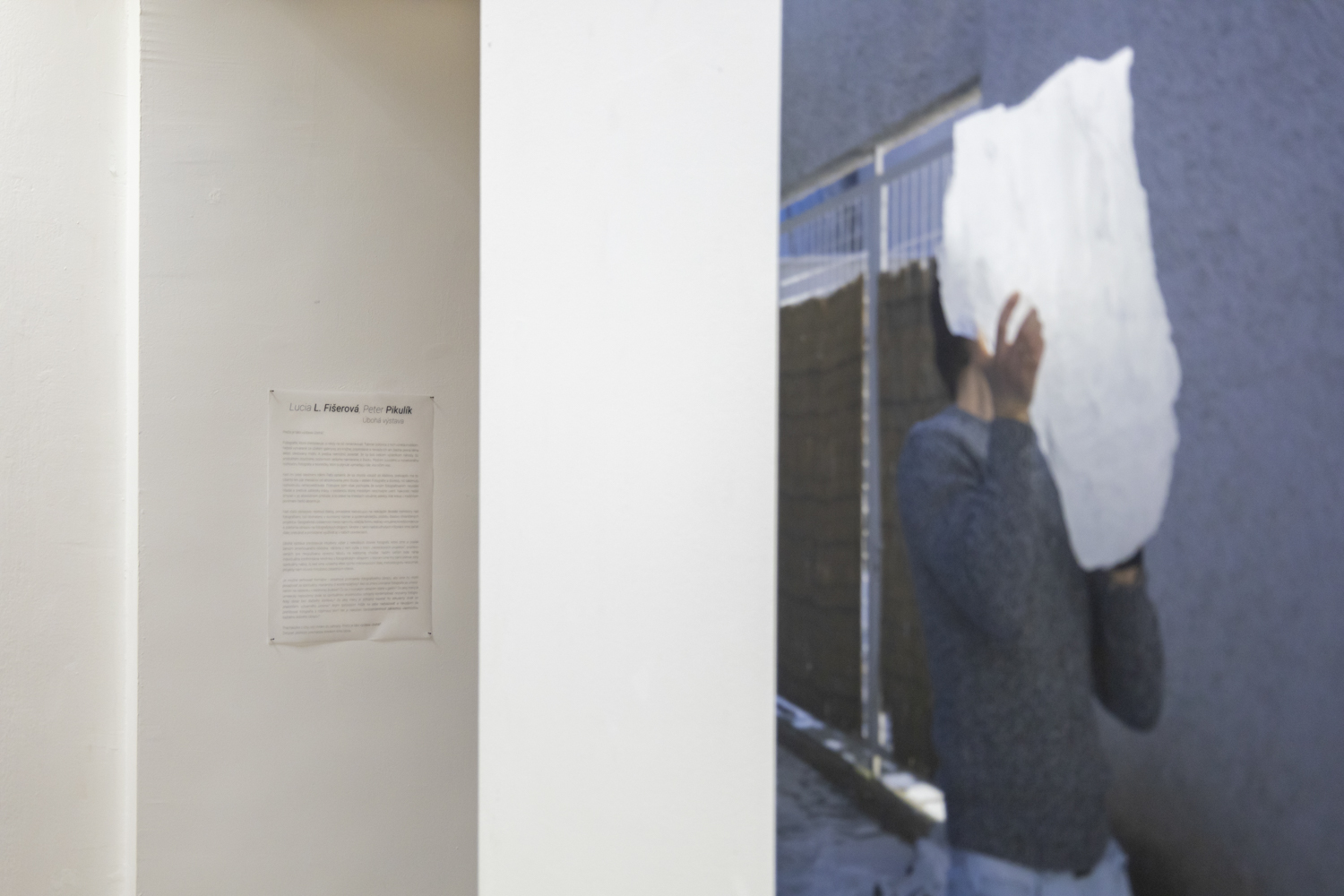 Úbohá výstava — Lucia L. Fišerová, Peter Pikulík