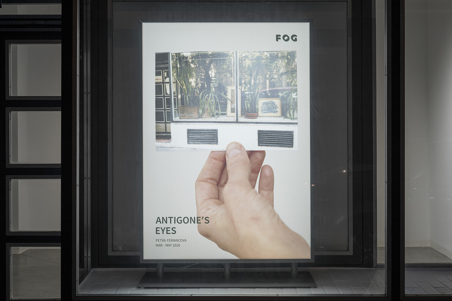 ANTIGONINE OČI  — Petra Feriancová