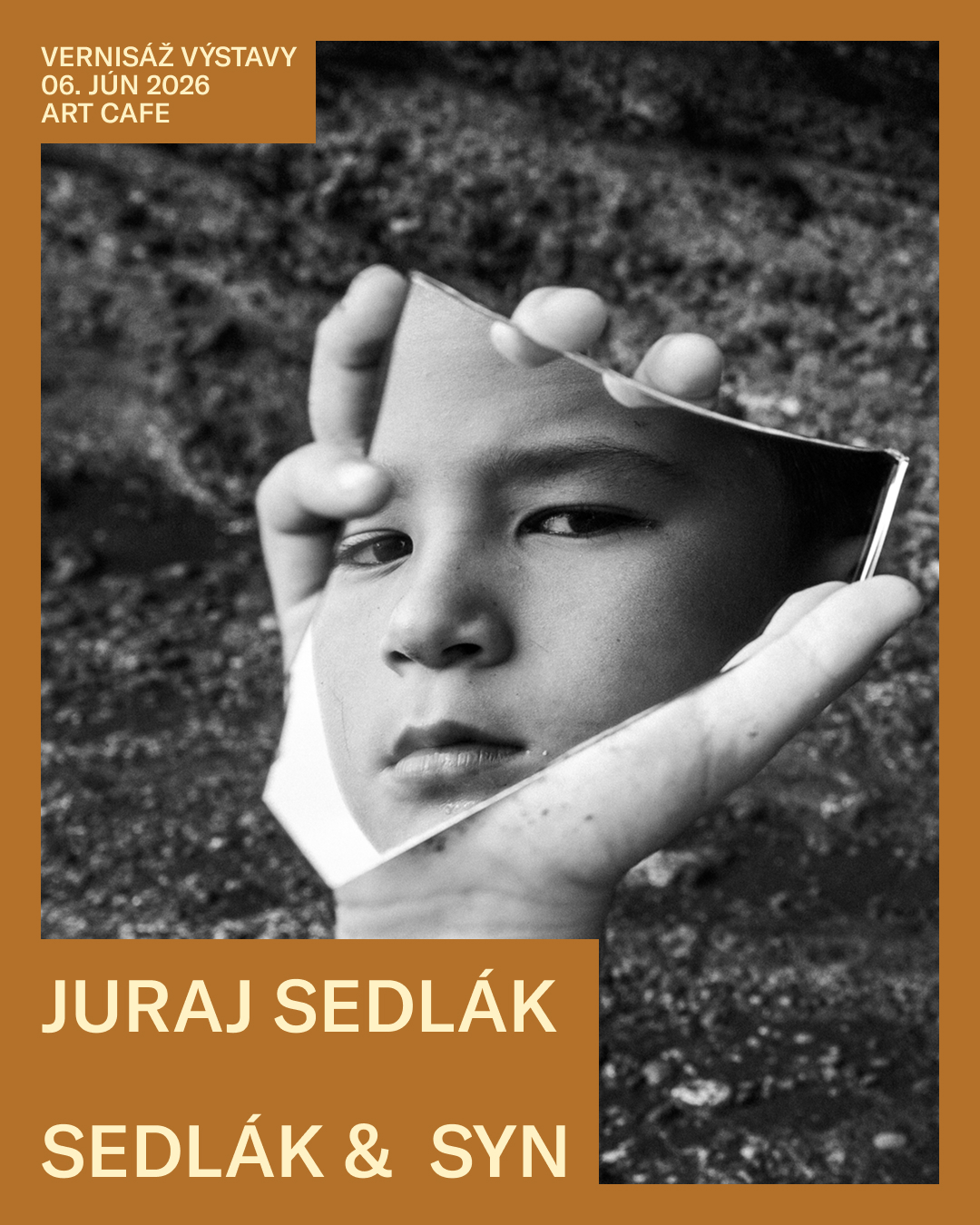 — SEDLÁK & SYN