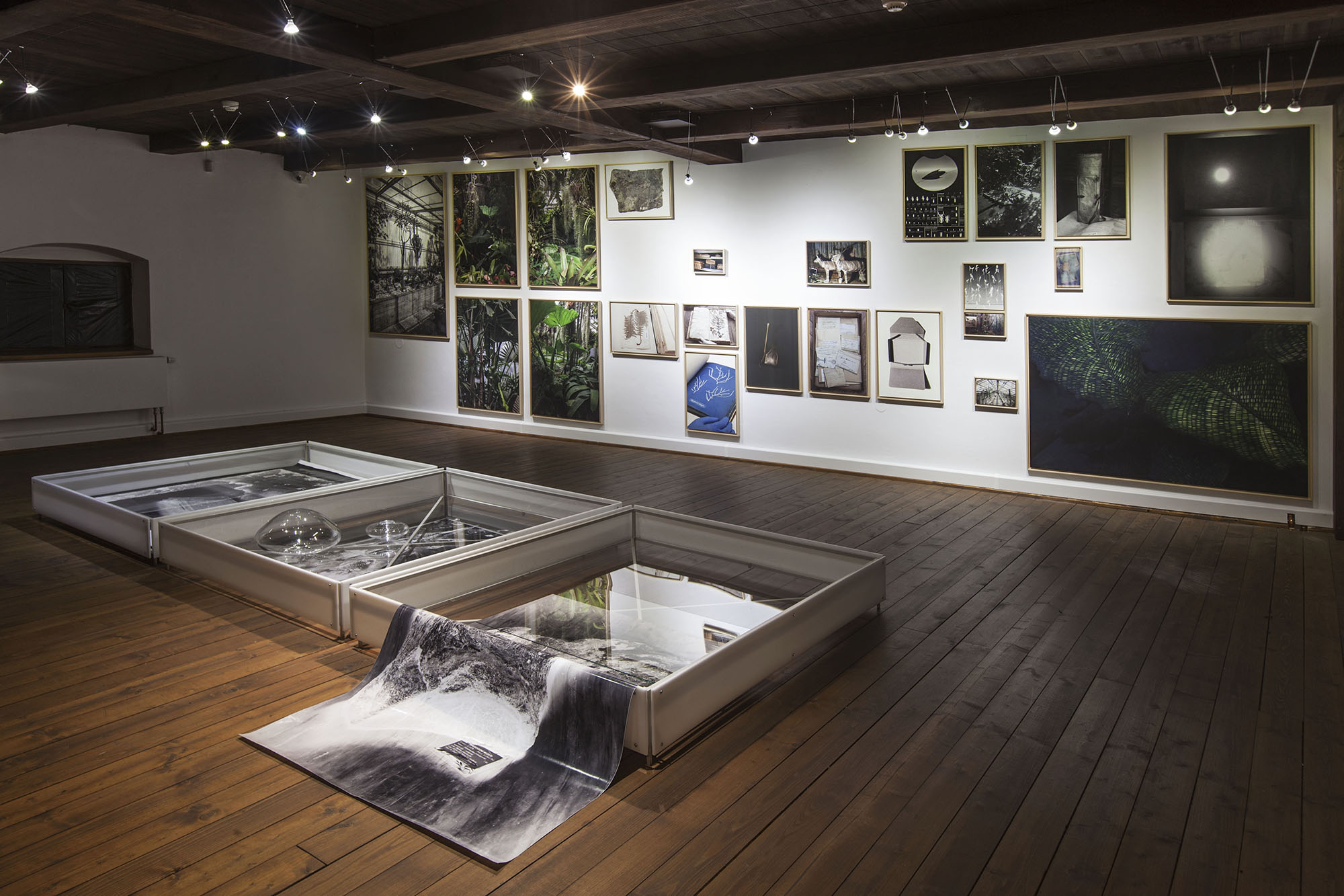 Expozícia