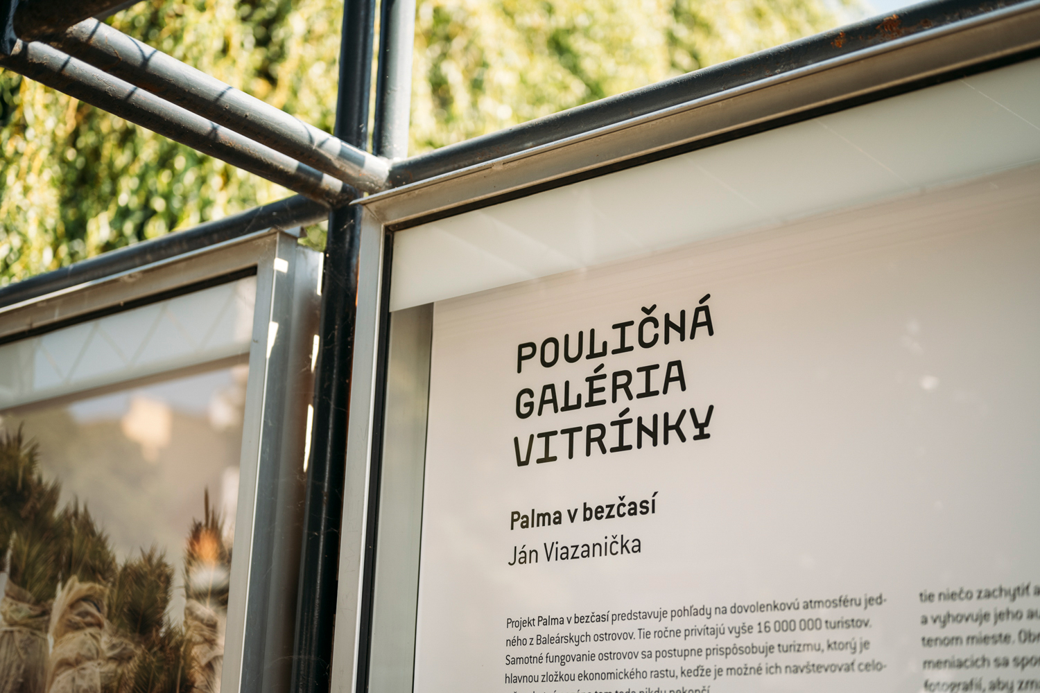 Palma v bezčasí v arte