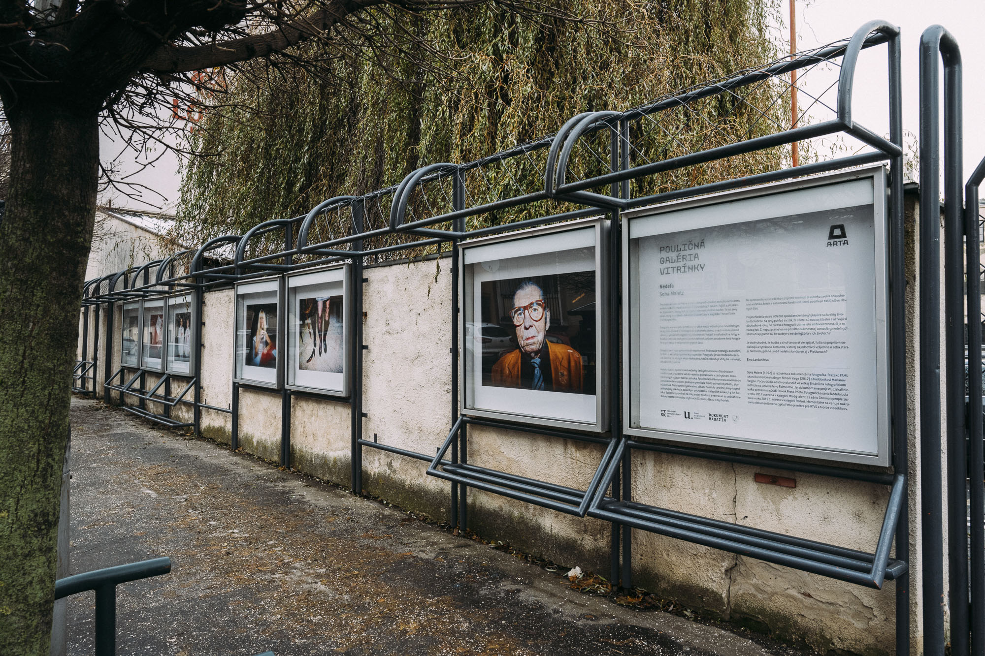 Nedeľa v arte